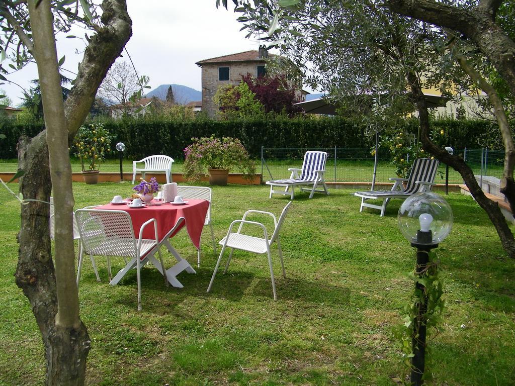 Triolivo B&B Lucca Buitenkant foto